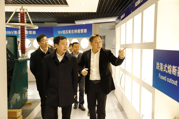溫州市委常委、組織部長馬永良蒞臨紅光電氣集團調(diào)研指導(dǎo)